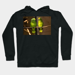 Yellow Crowned Amazon Hoodie